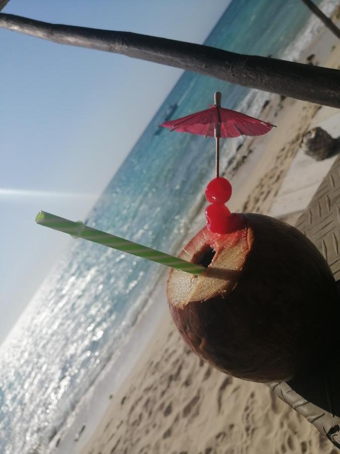 Playa Tortuga Cabana 플라야 블랑카 외부 사진