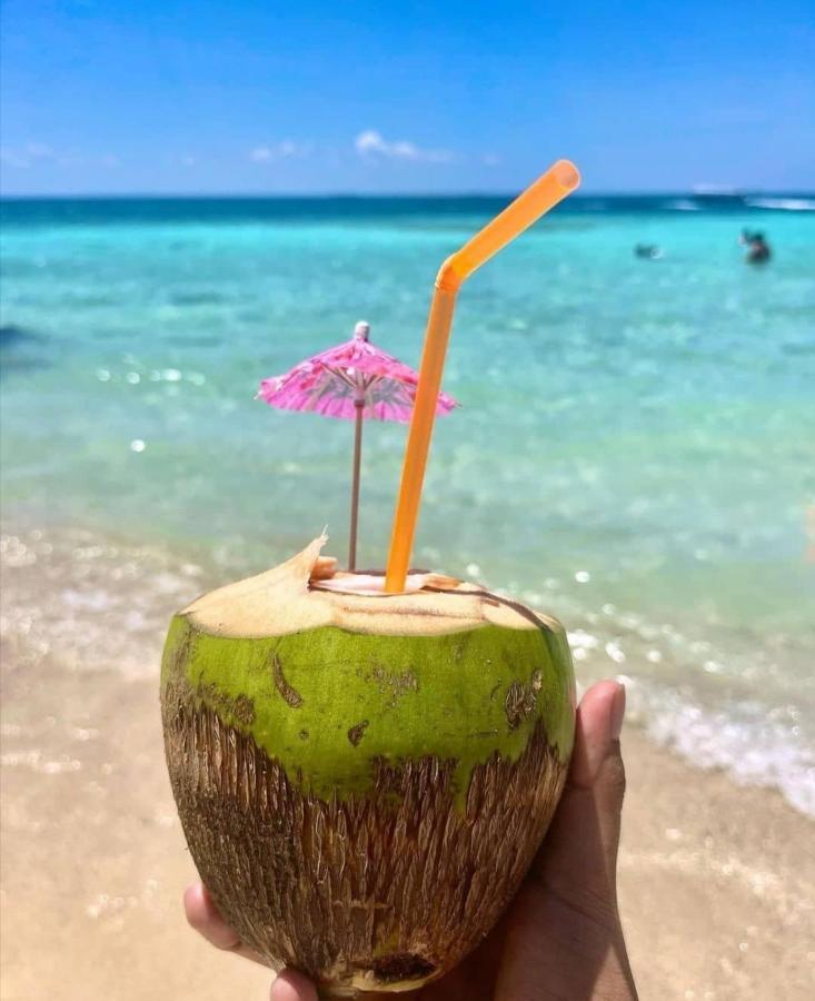 Playa Tortuga Cabana 플라야 블랑카 외부 사진