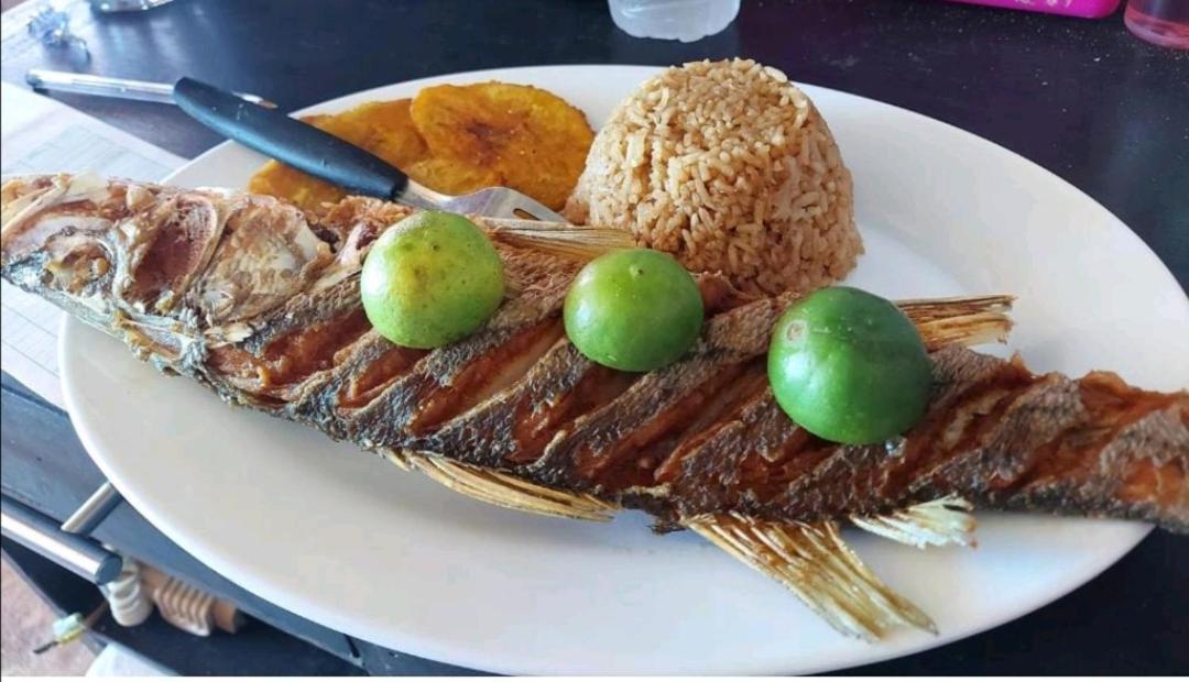 Playa Tortuga Cabana 플라야 블랑카 외부 사진