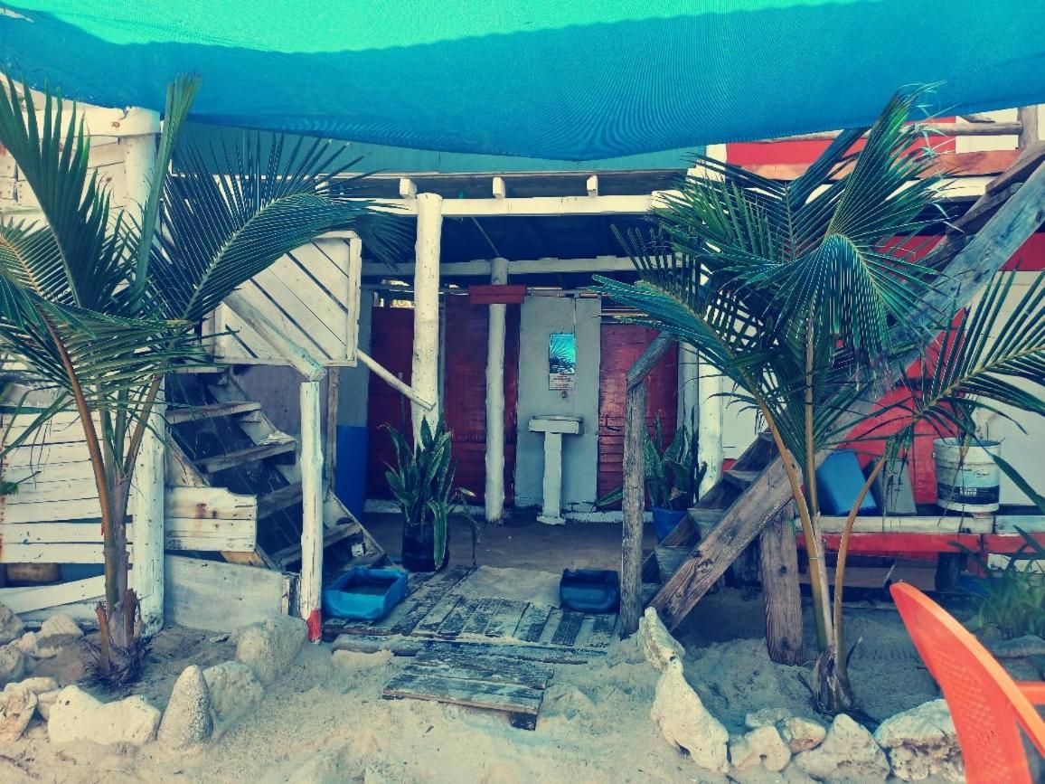 Playa Tortuga Cabana 플라야 블랑카 외부 사진