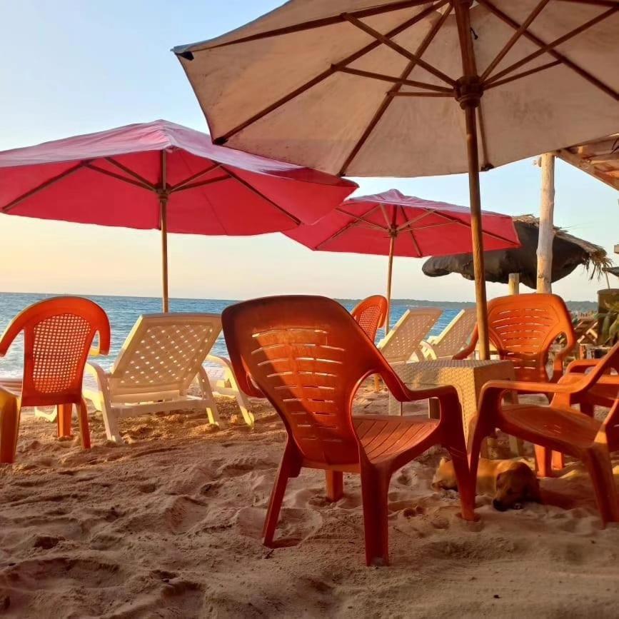 Playa Tortuga Cabana 플라야 블랑카 외부 사진