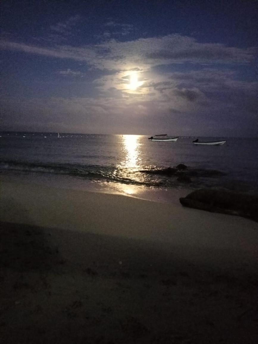 Playa Tortuga Cabana 플라야 블랑카 객실 사진