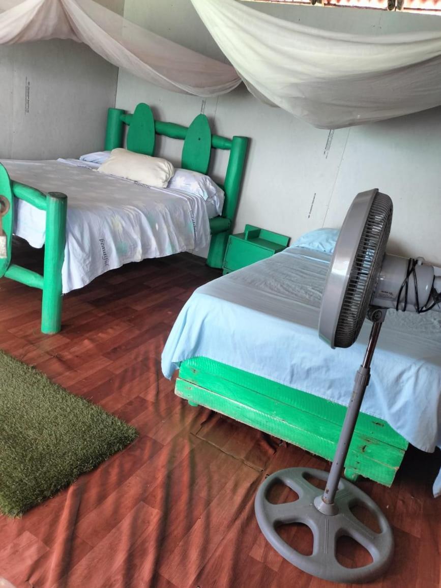 Playa Tortuga Cabana 플라야 블랑카 객실 사진